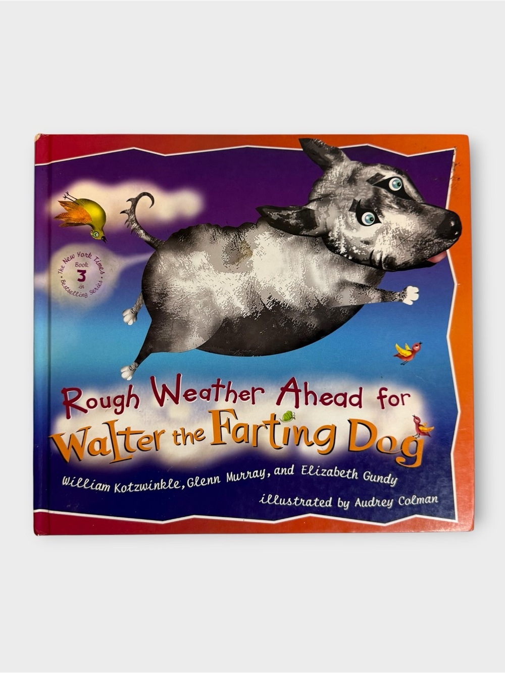 Rough Weather Ahead for Walter The Farting Dog Book